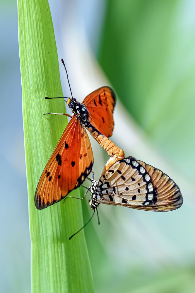 Фотография автора Suresh S S