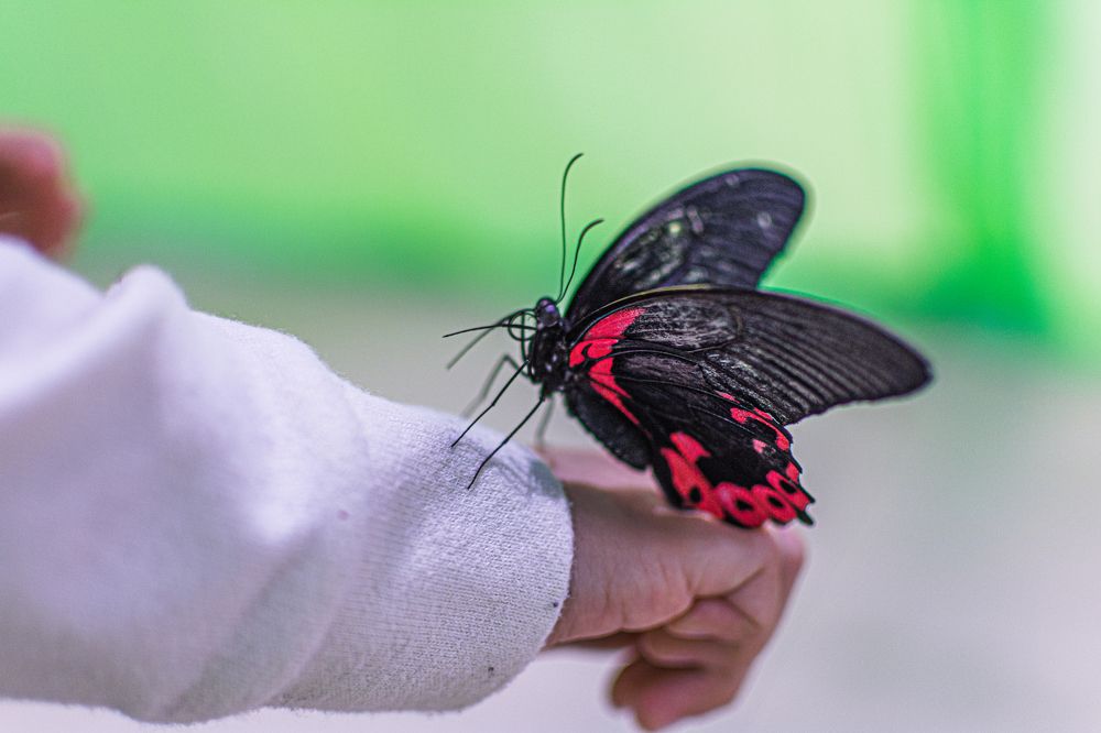 Photograph by Артём Александрович