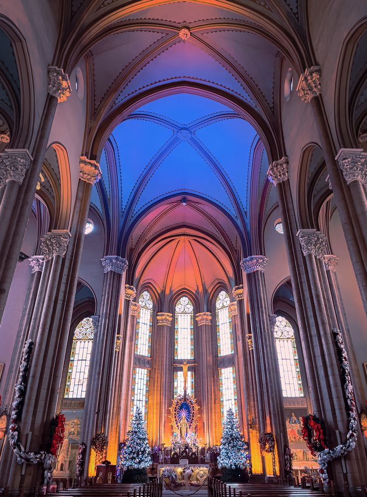 Фотография автора Мазурева Анастасия