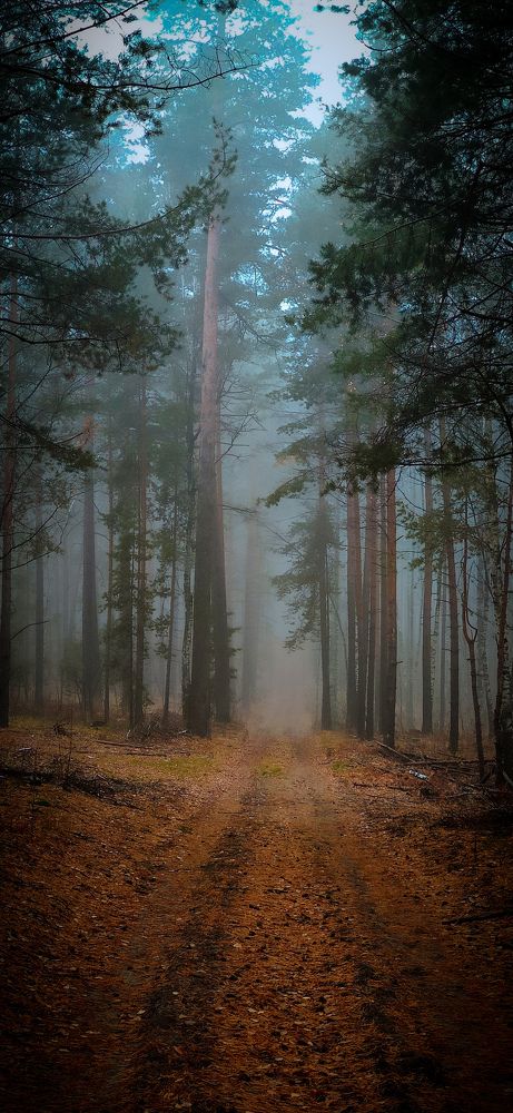 Photograph by Konstantin Martynov