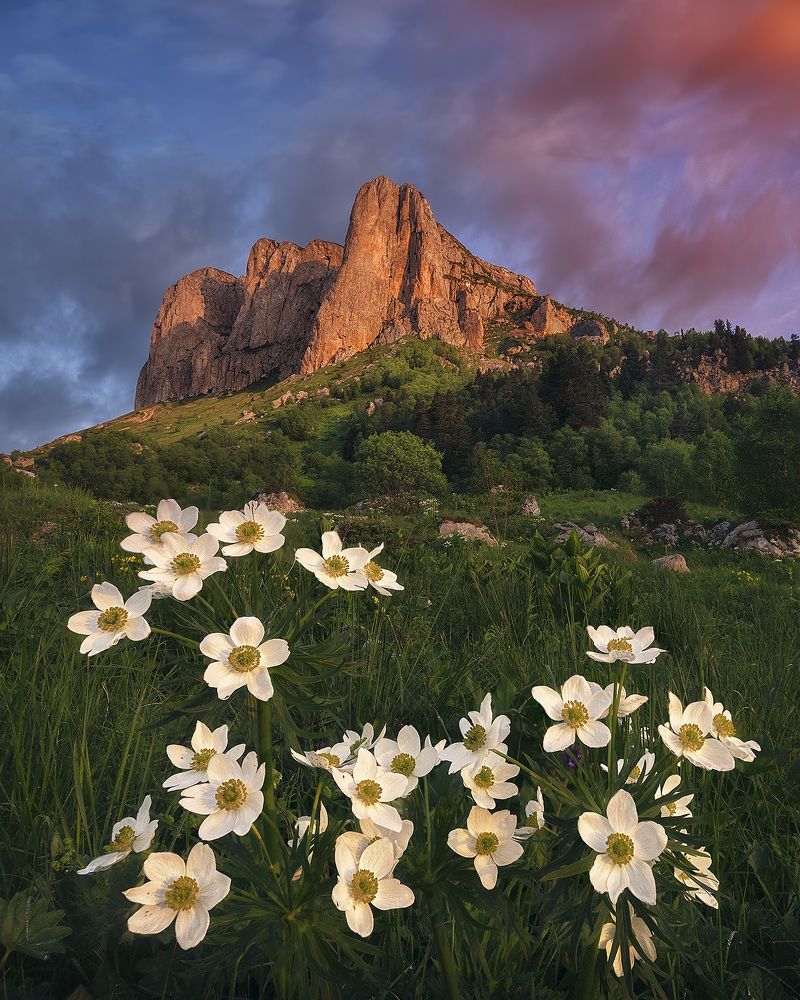 Photograph by Андрей Родионов