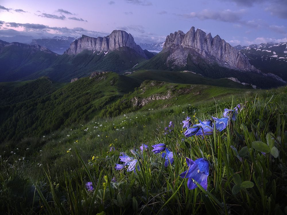 Photograph by Андрей Родионов