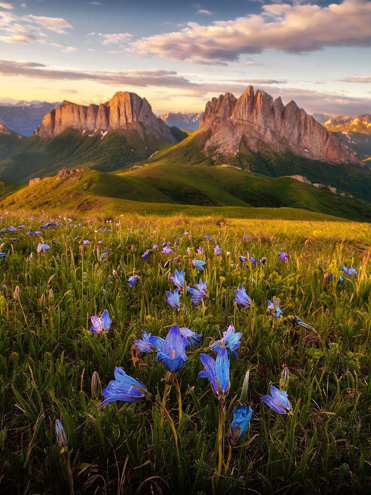 Photograph by Андрей Родионов