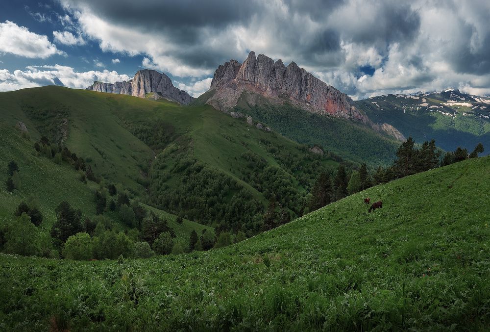 Photograph by Андрей Родионов