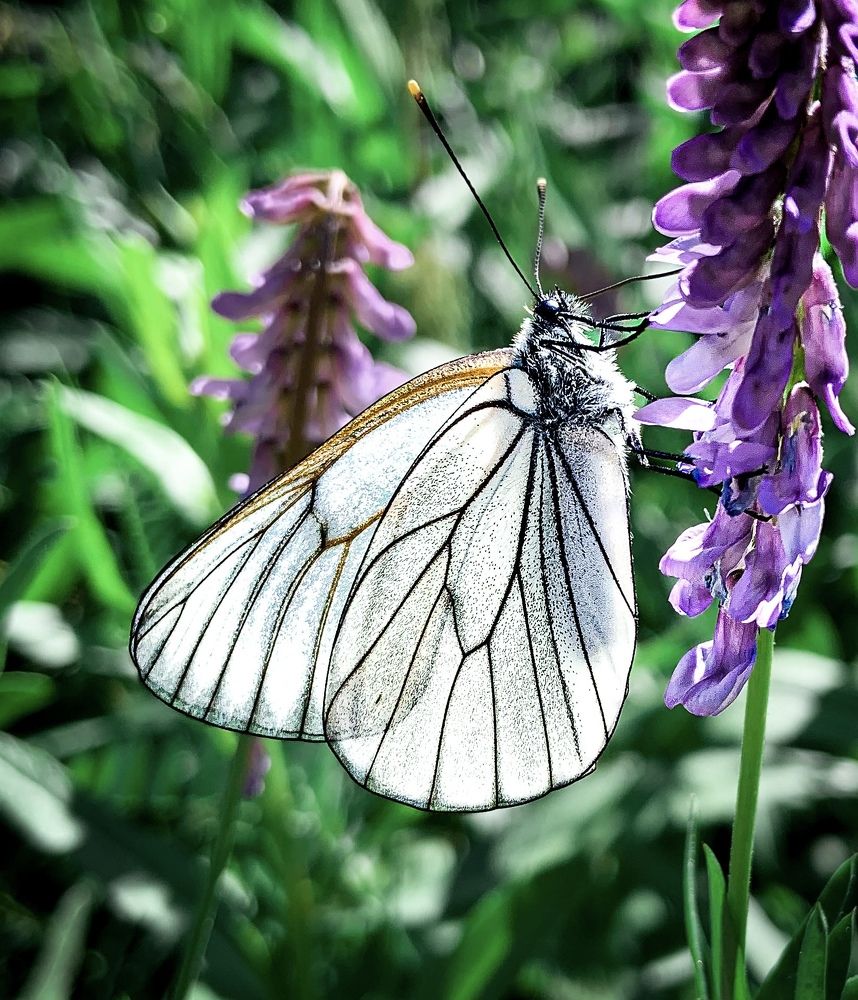 Photograph by Евгения Д