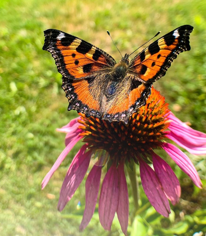 Photograph by Евгения Д