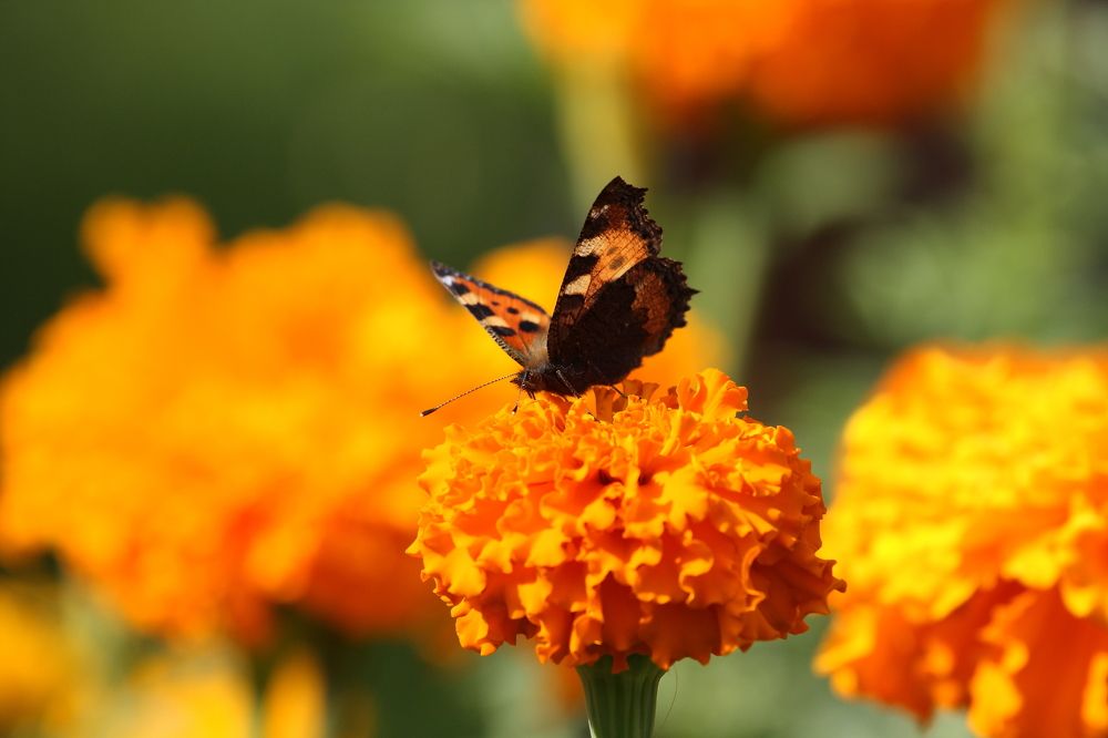 Photograph by Дмитрий Кузнецов