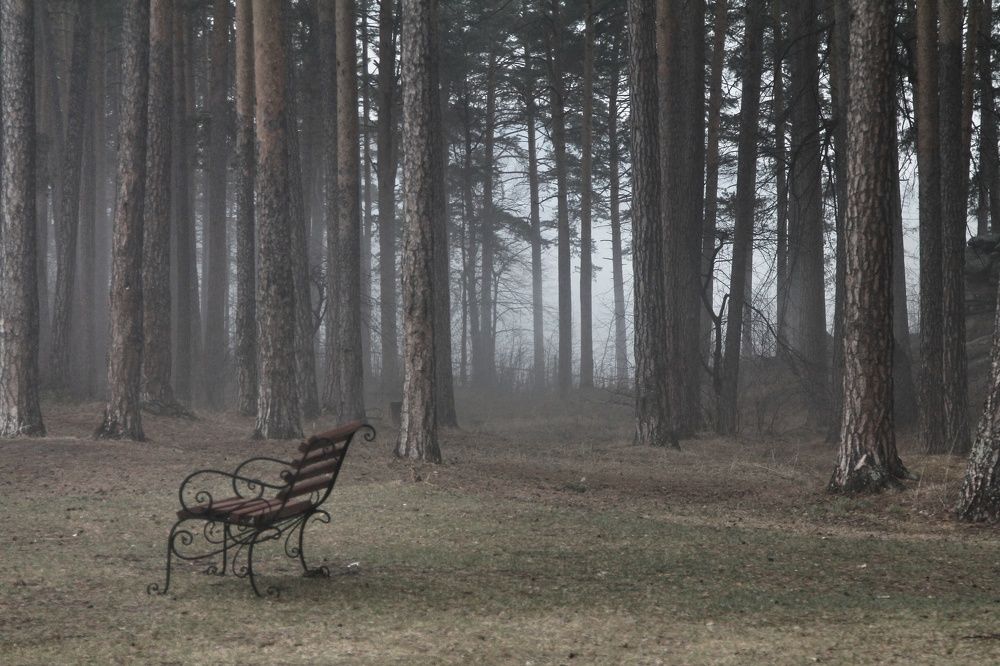 Photograph by Ольга Метлицкая