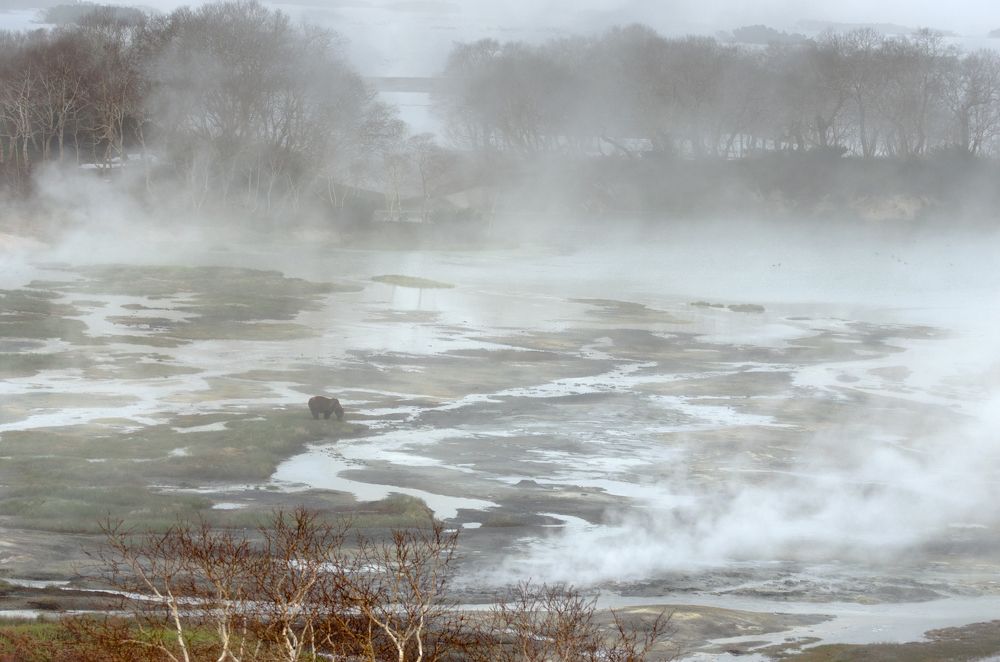 Photograph by Максим Ушаков