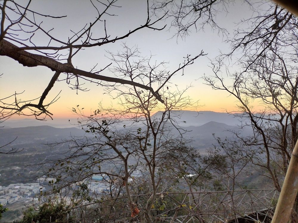 Photo #9172066
