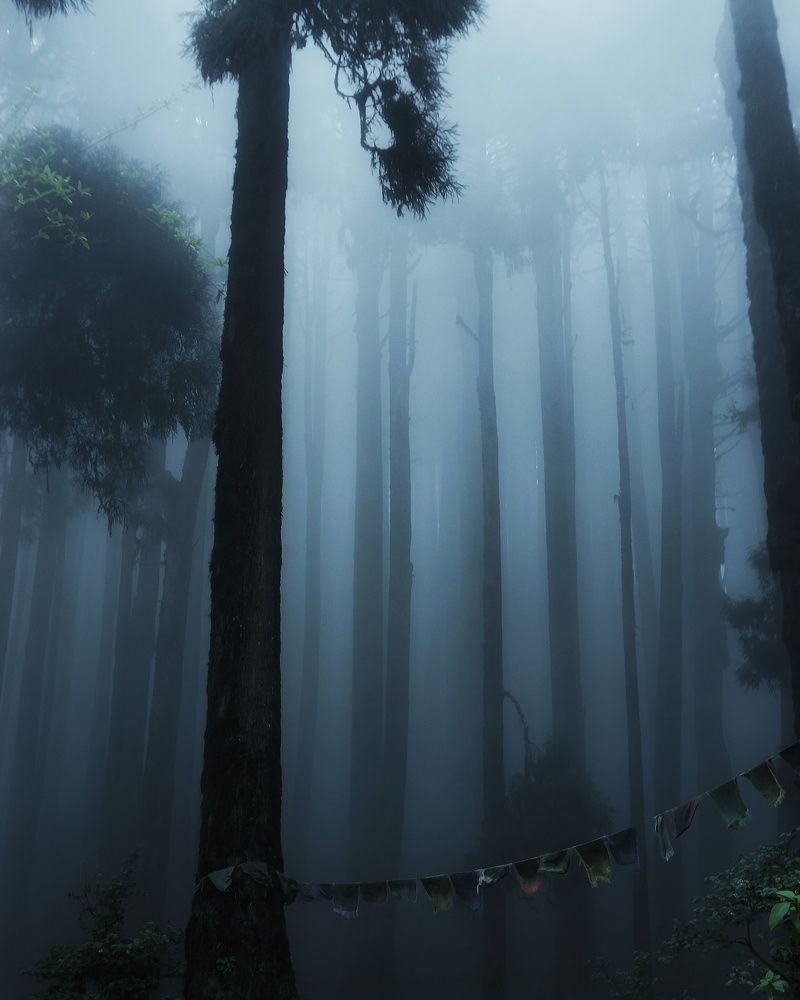 Photograph by Pradyumna Kumar Biswal