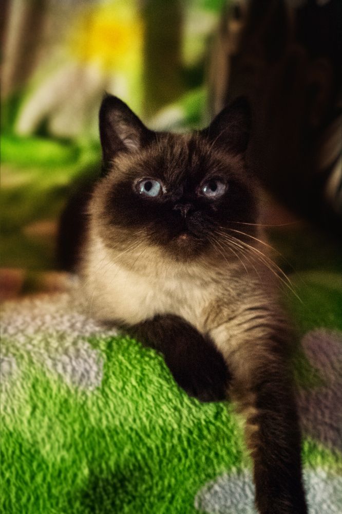 Photograph by Юлия Гетманская