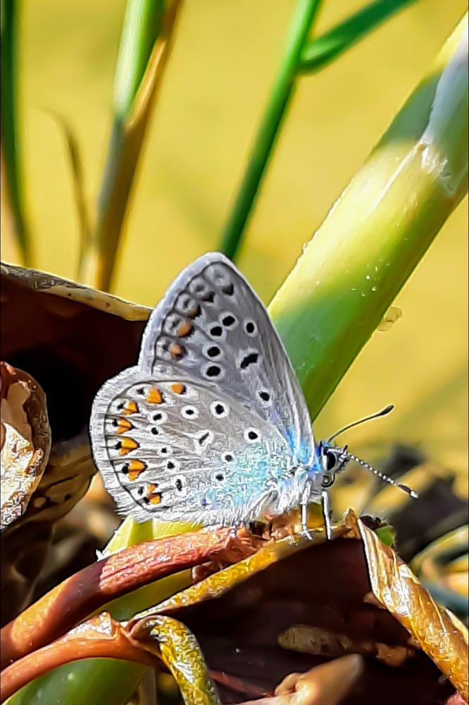 Photograph by Сергей Назаредский