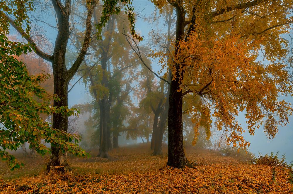 Photograph by Валентин Кузьмин