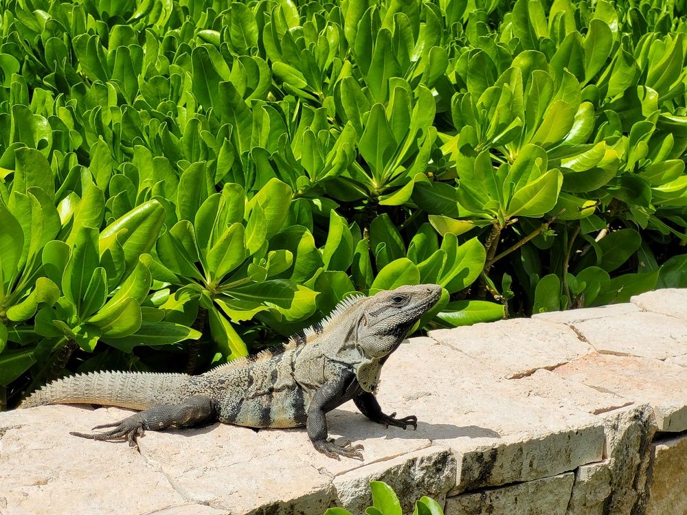 Photograph by Валерия Гуртовая