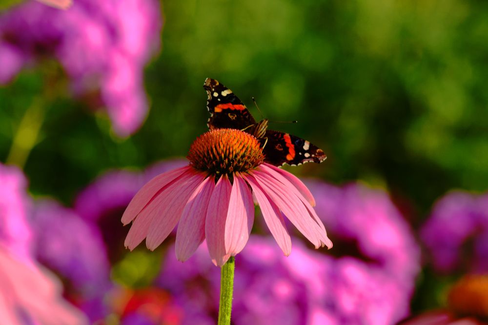 Photograph by Сергей Бабанов