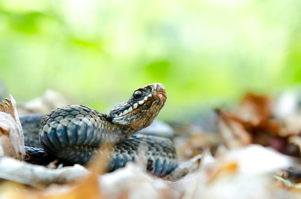 Photograph by Максим Ушаков