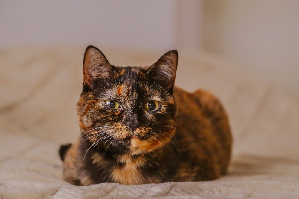 Photograph by Кристина Субоч