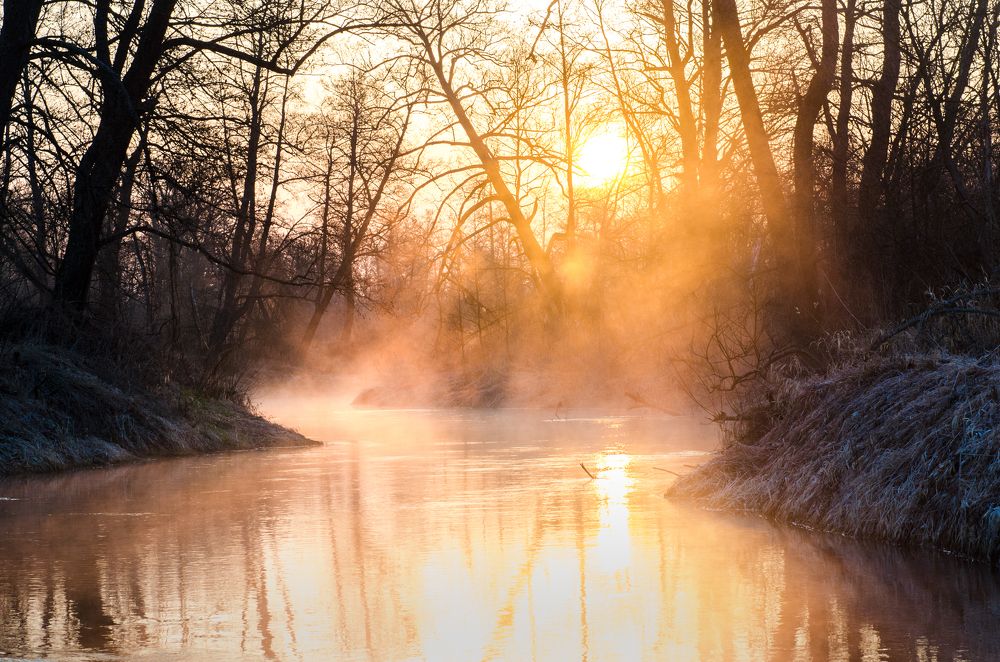 Photograph by Максим Ушаков