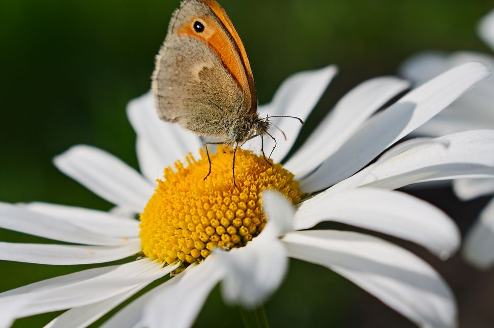 Photograph by Евгений Козлов