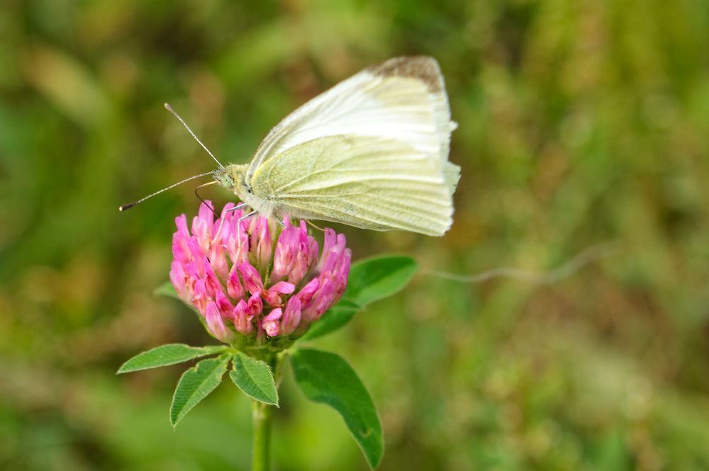 Photograph by Евгений Козлов