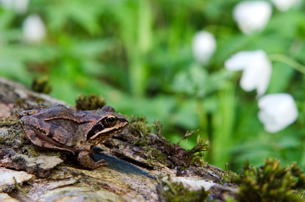 Photograph by Максим Ушаков