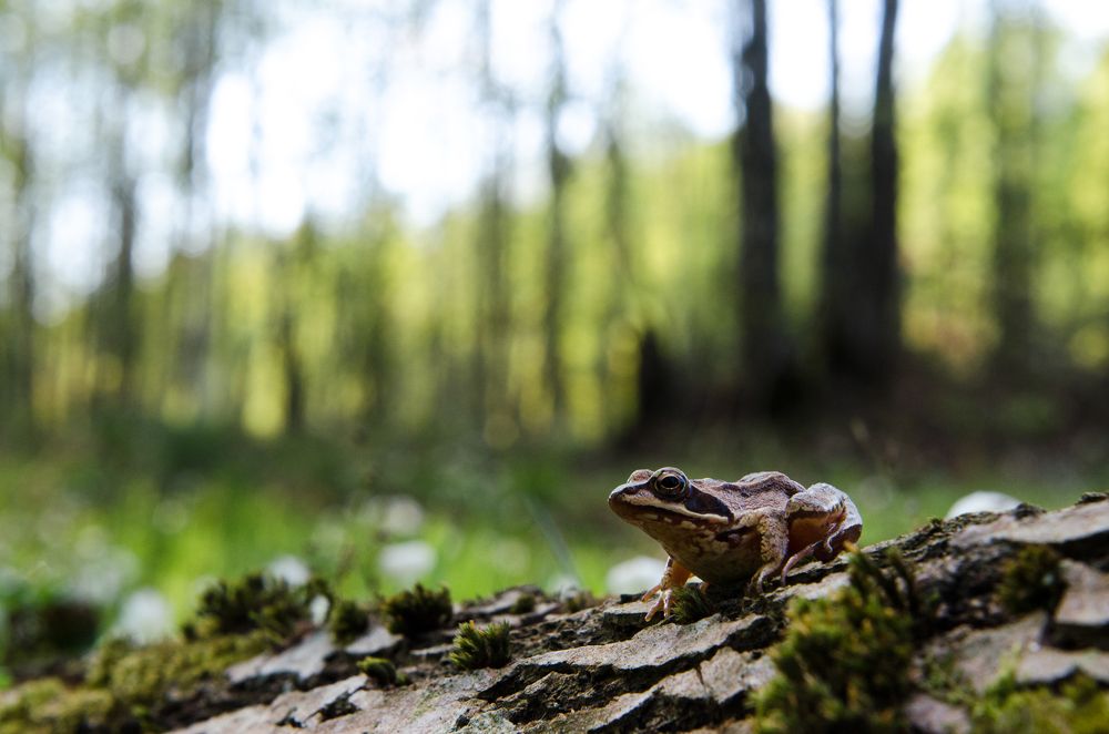 Photograph by Максим Ушаков