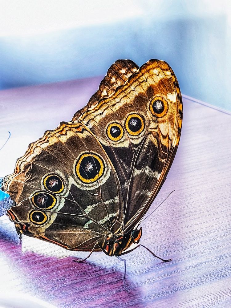 Photograph by Татьяна Соколовская