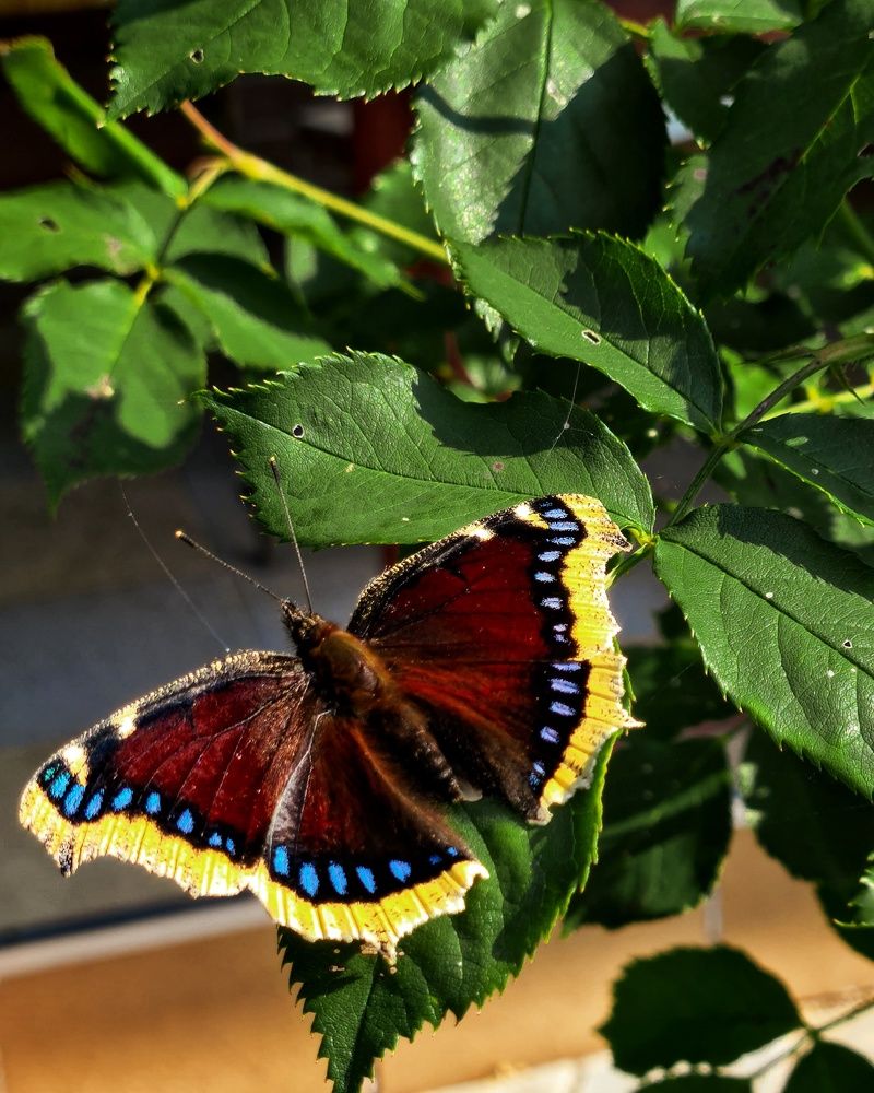 Photograph by Татьяна Соколовская