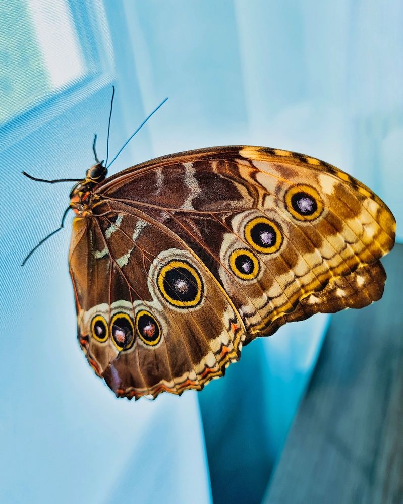 Photograph by Татьяна Соколовская