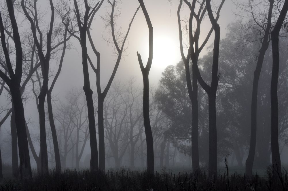 Photograph by Ricardo Kimmich