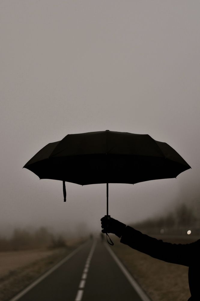 Photograph by Elvira