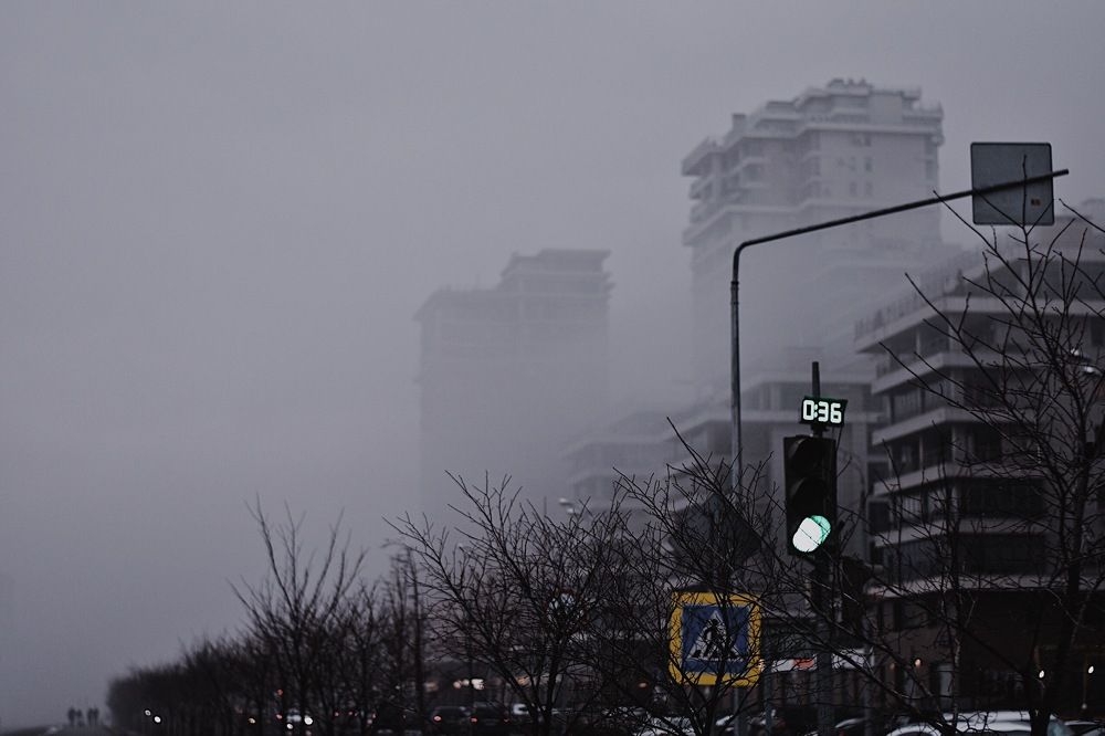 Photograph by Elvira