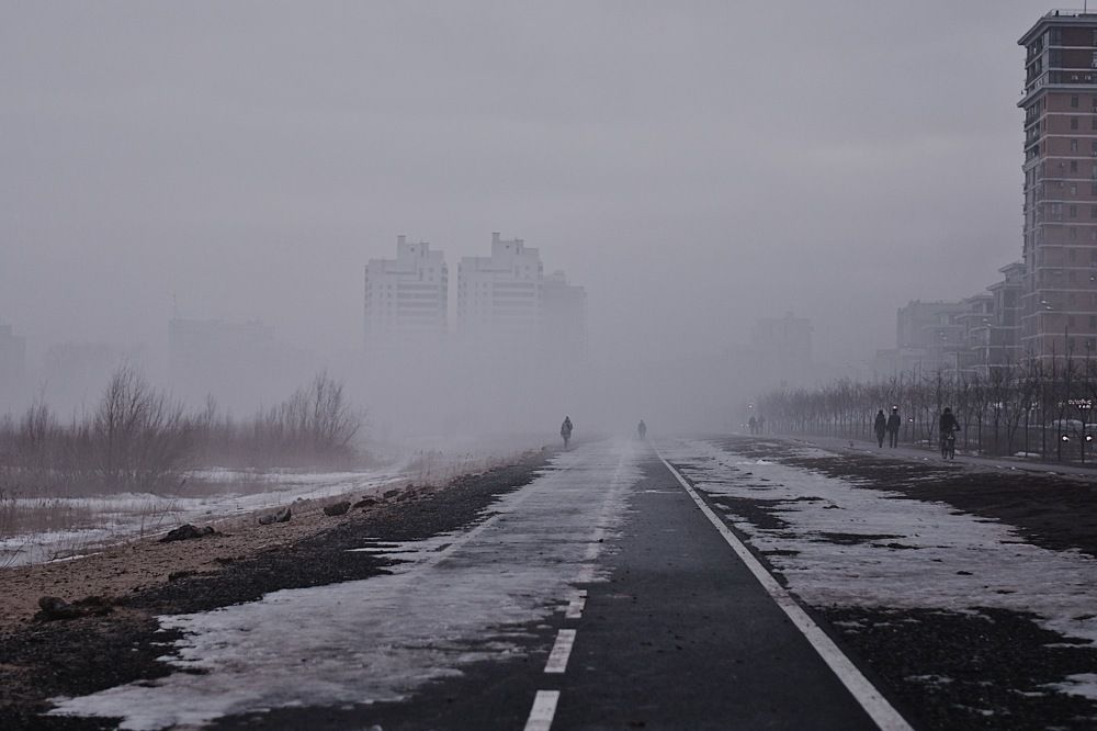 Photograph by Elvira