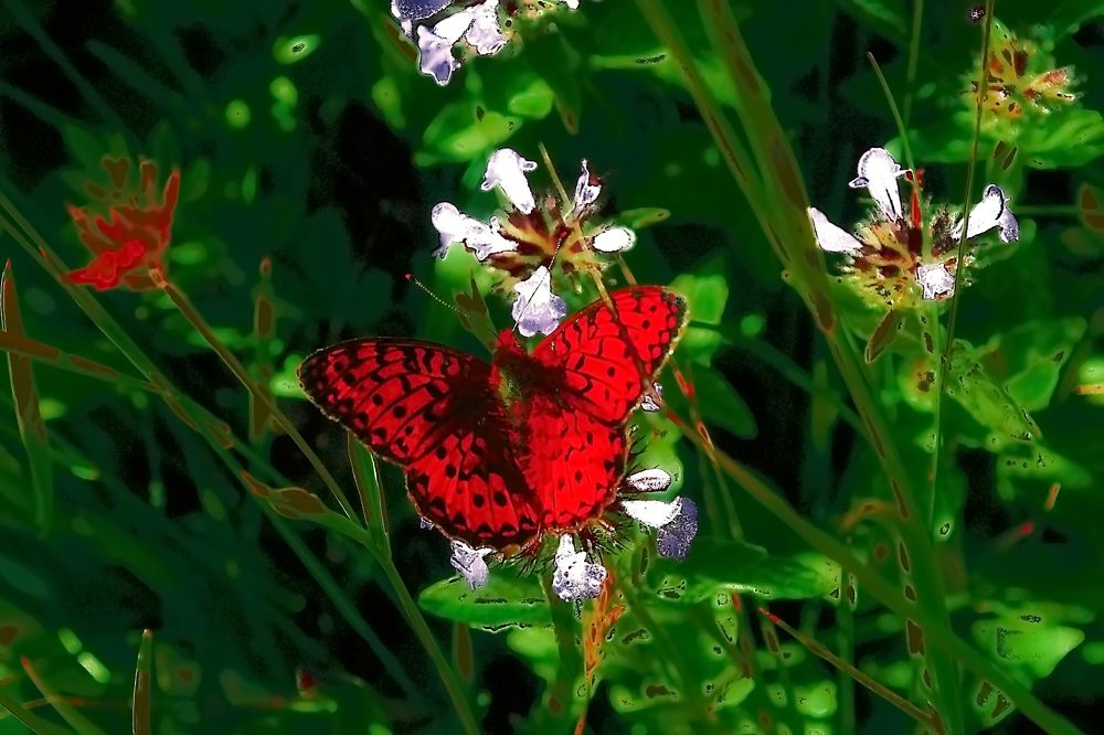 Photograph by Roman Popov