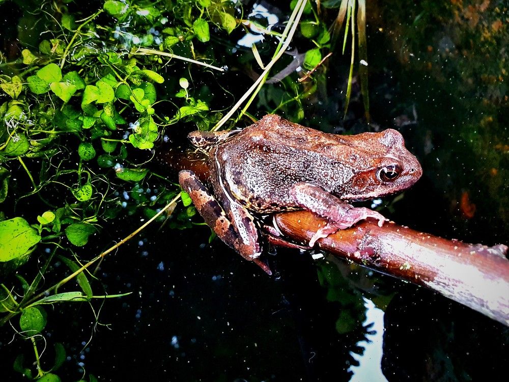 Photograph by Яна Галимуллина