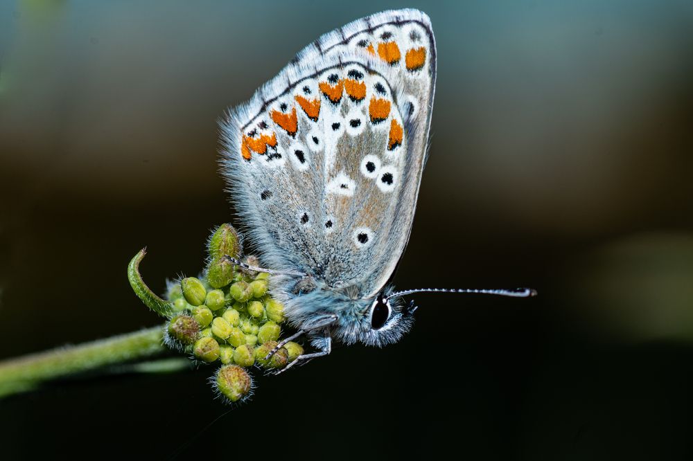 Photograph by Francisco José López Fernández