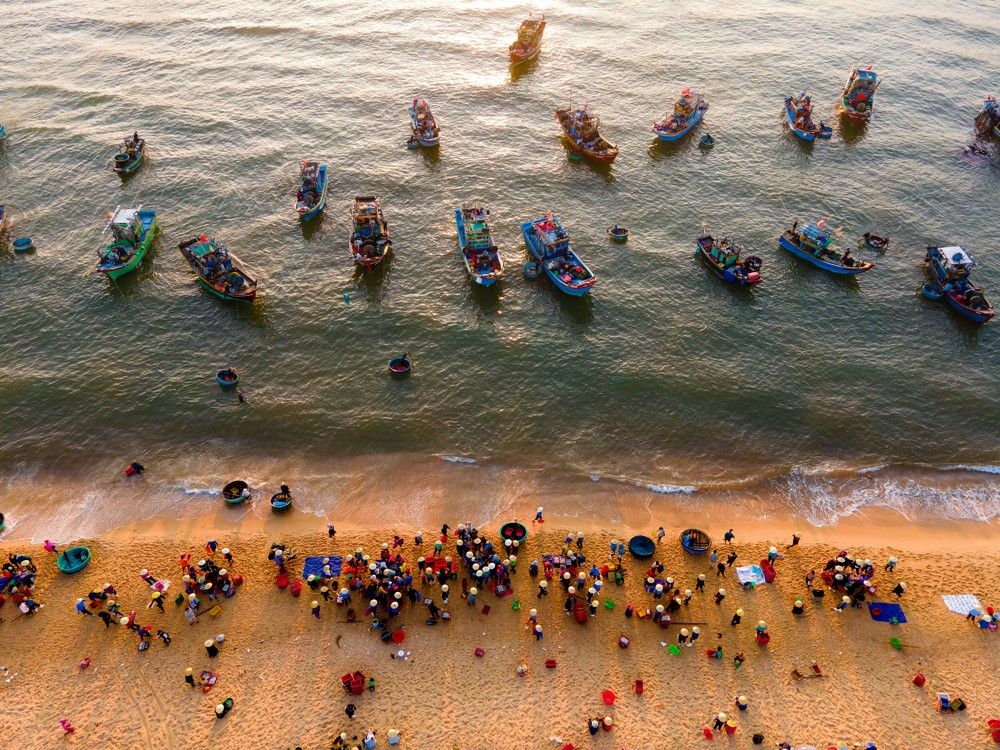 Photograph by Cuong Tran