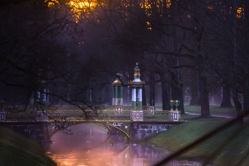 Photograph by Aleksandra