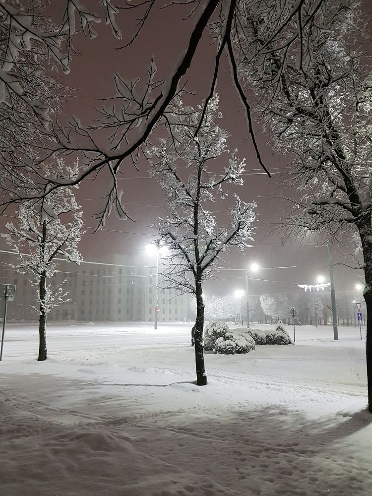 Photograph by Людмила Орловская