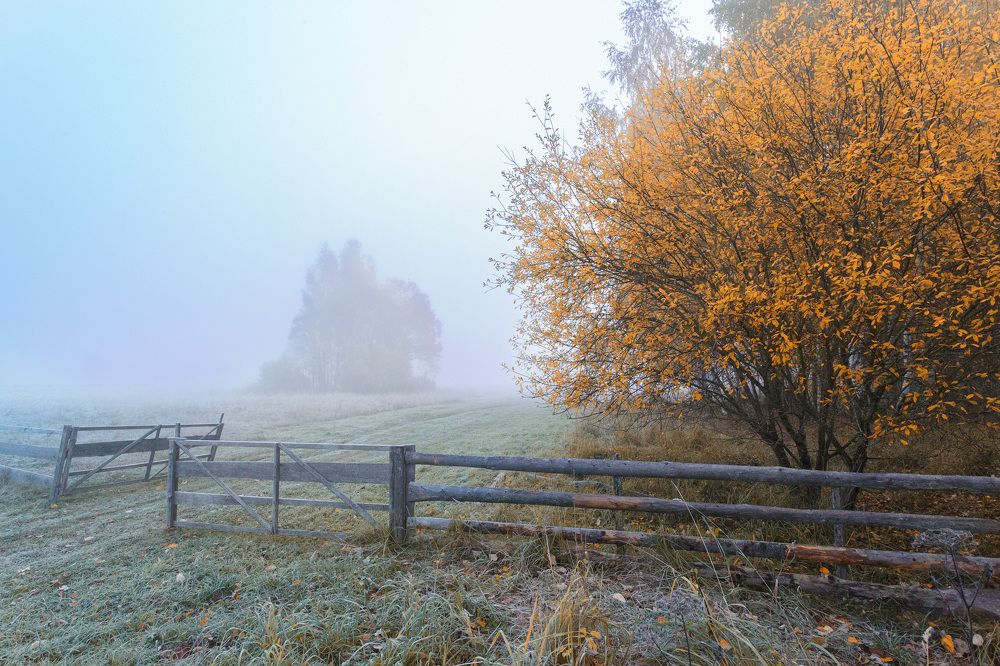 Photograph by Зеленько Дмитрий