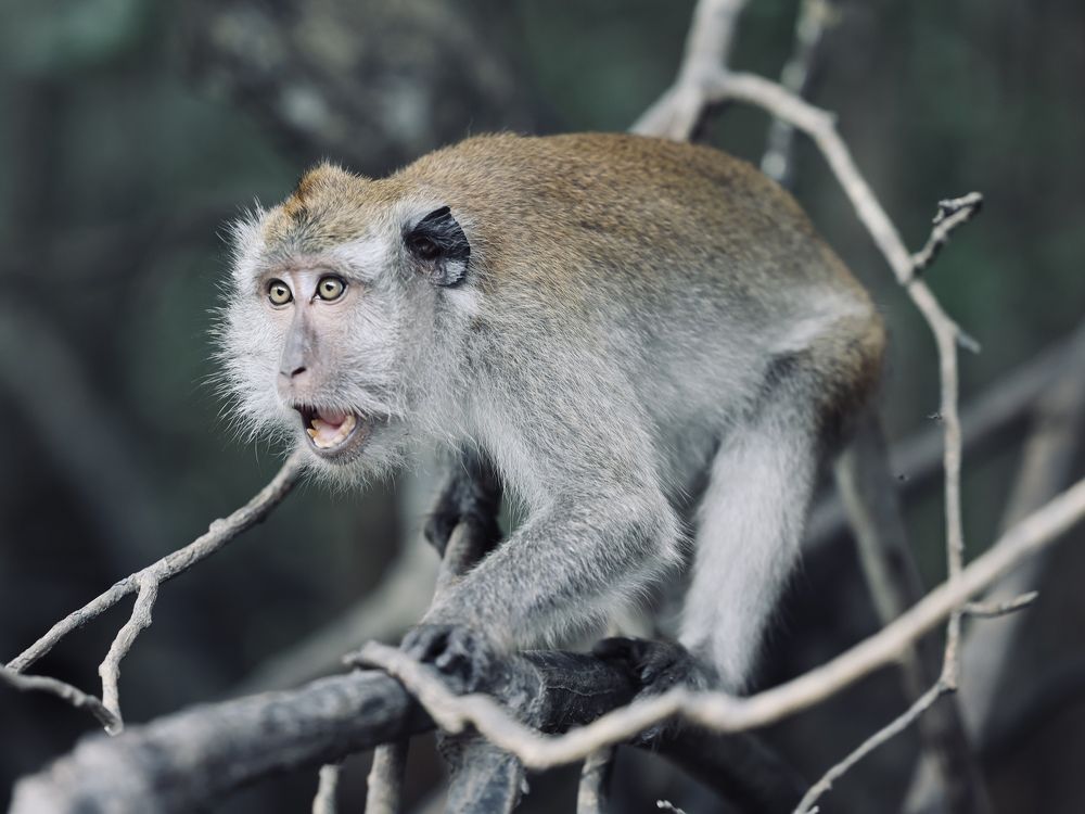 Photograph by Шевалье Татьяна