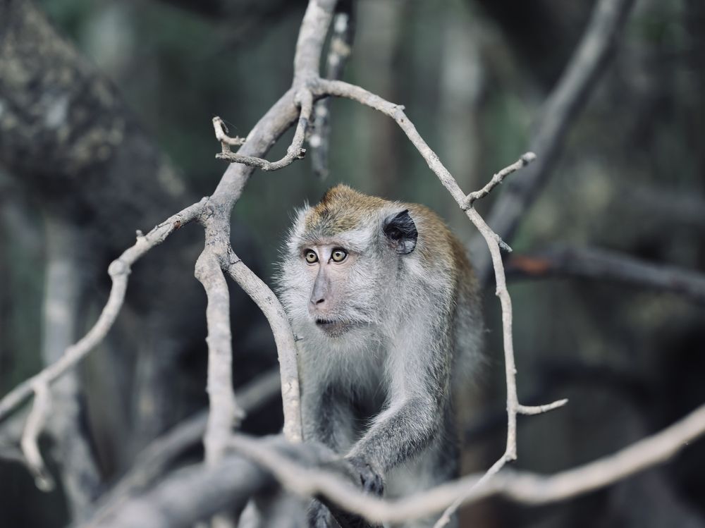 Photograph by Шевалье Татьяна