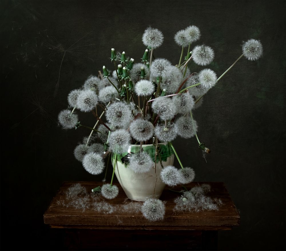 Маленькие пушистики