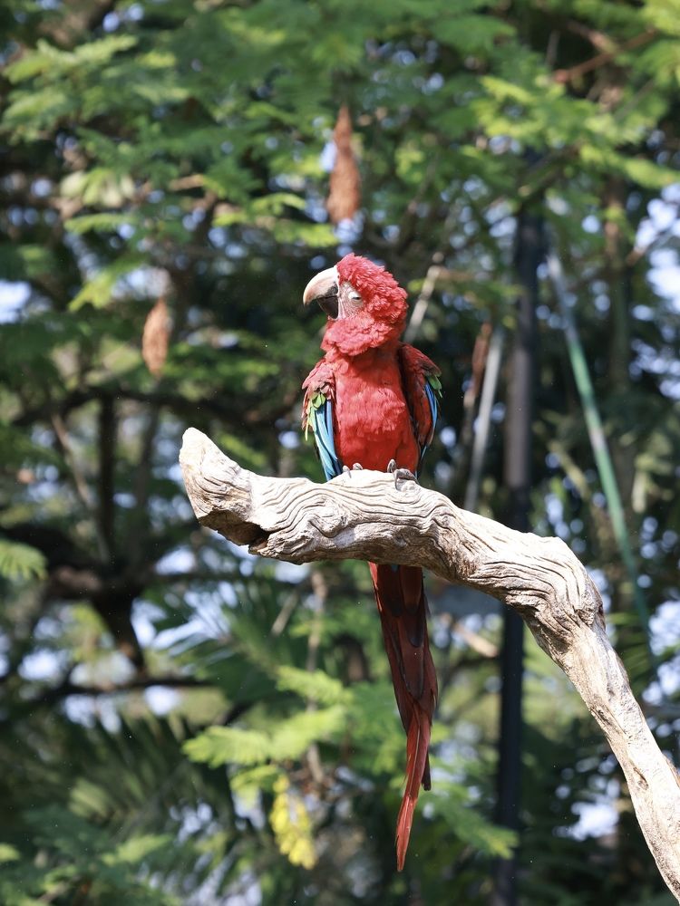 Photograph by Шевалье Татьяна