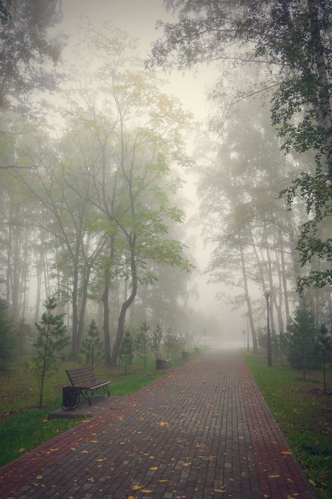 Photograph by Евгений Малинин