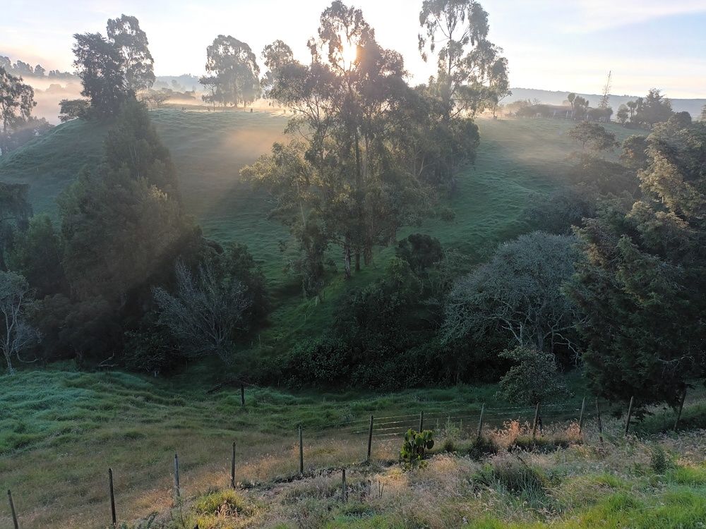 Photo #9172698
