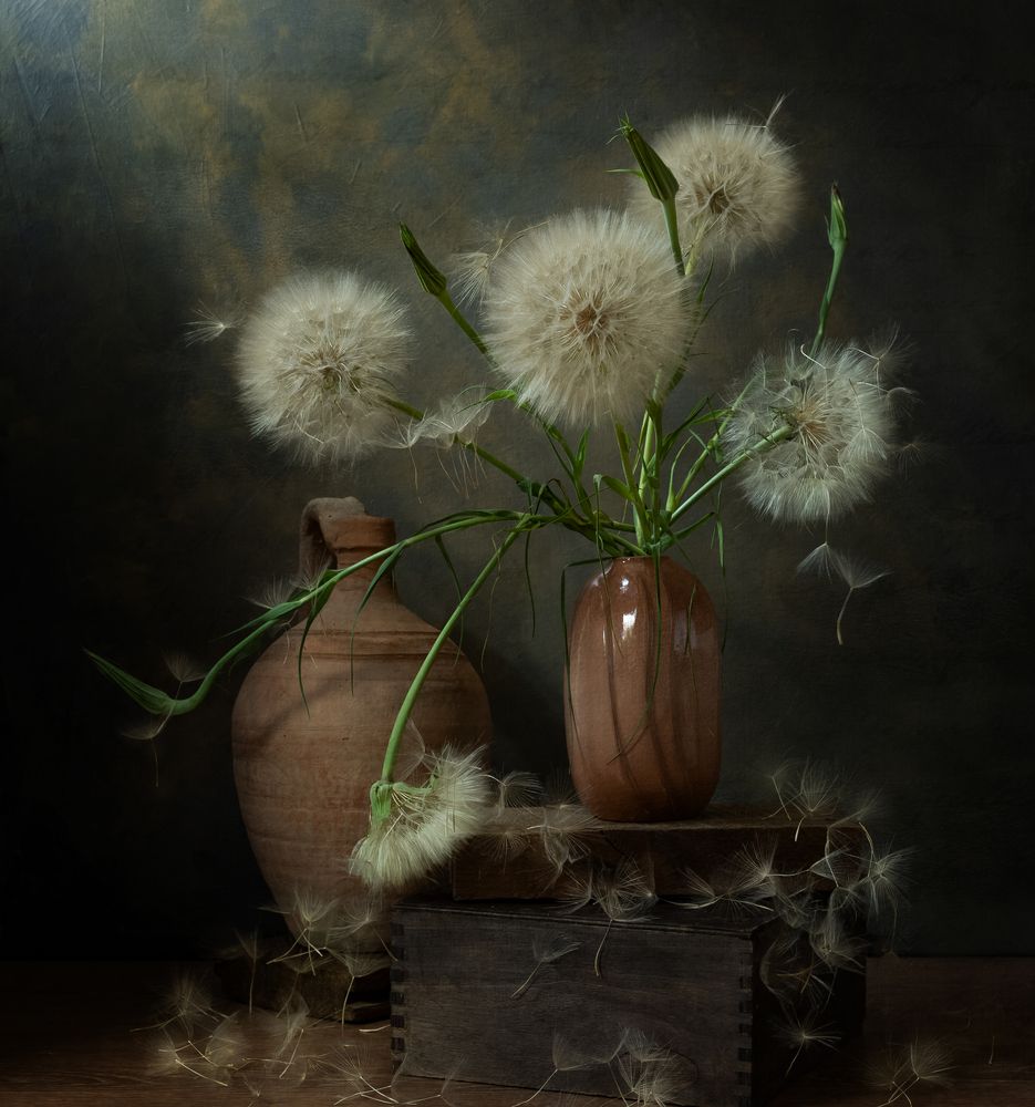 Шары козлобородника