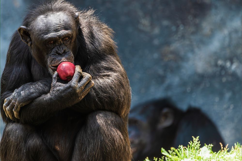 Photograph by RyanCarterMedia