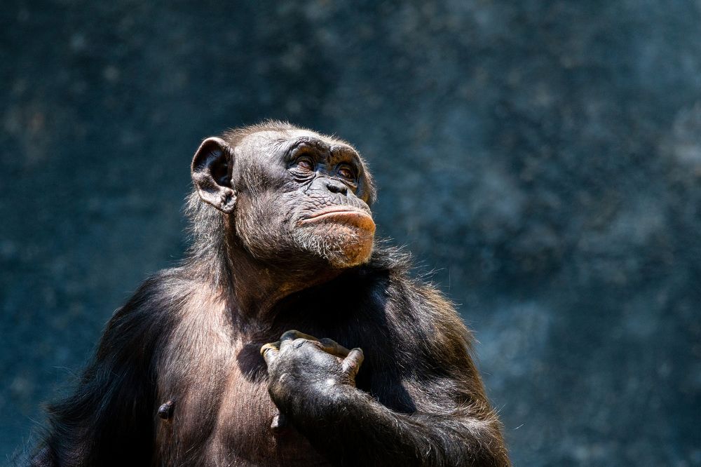 Photograph by RyanCarterMedia